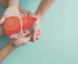Hands holding healthy liver, organ donation, hepatitis vaccination, liver cancer treatment, world hepatitis day