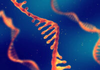 RNA research and therapy