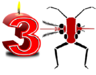 3-ann