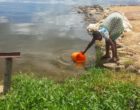 woman collecting water