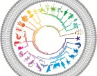 BMC Biol iconic image
