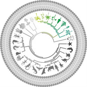 Our modified iconic image for our Plant Signals series