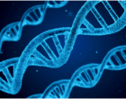 DNA