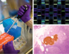 Translational Oncology cover