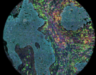 5 – Rainbow Kaleidoscope