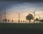 wind turbines and treeline
